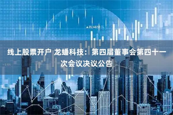 线上股票开户 龙蟠科技：第四届董事会第四十一次会议决议公告
