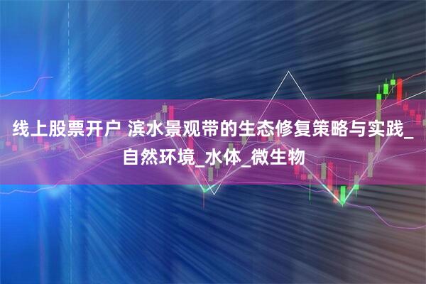 线上股票开户 滨水景观带的生态修复策略与实践_自然环境_水体_微生物